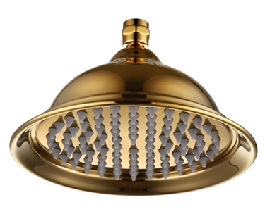 Brass Top, Shower Head, London